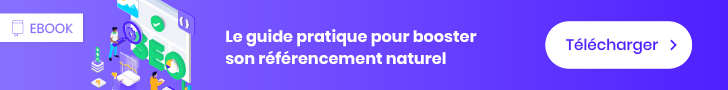 ebook référencement naturel SEO